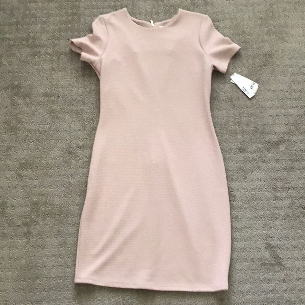 Bar III Suit Dress